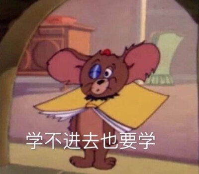 学不进去也要学(杰瑞鼠表情包)