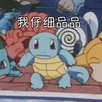 我仔细品品(杰尼龟表情包)