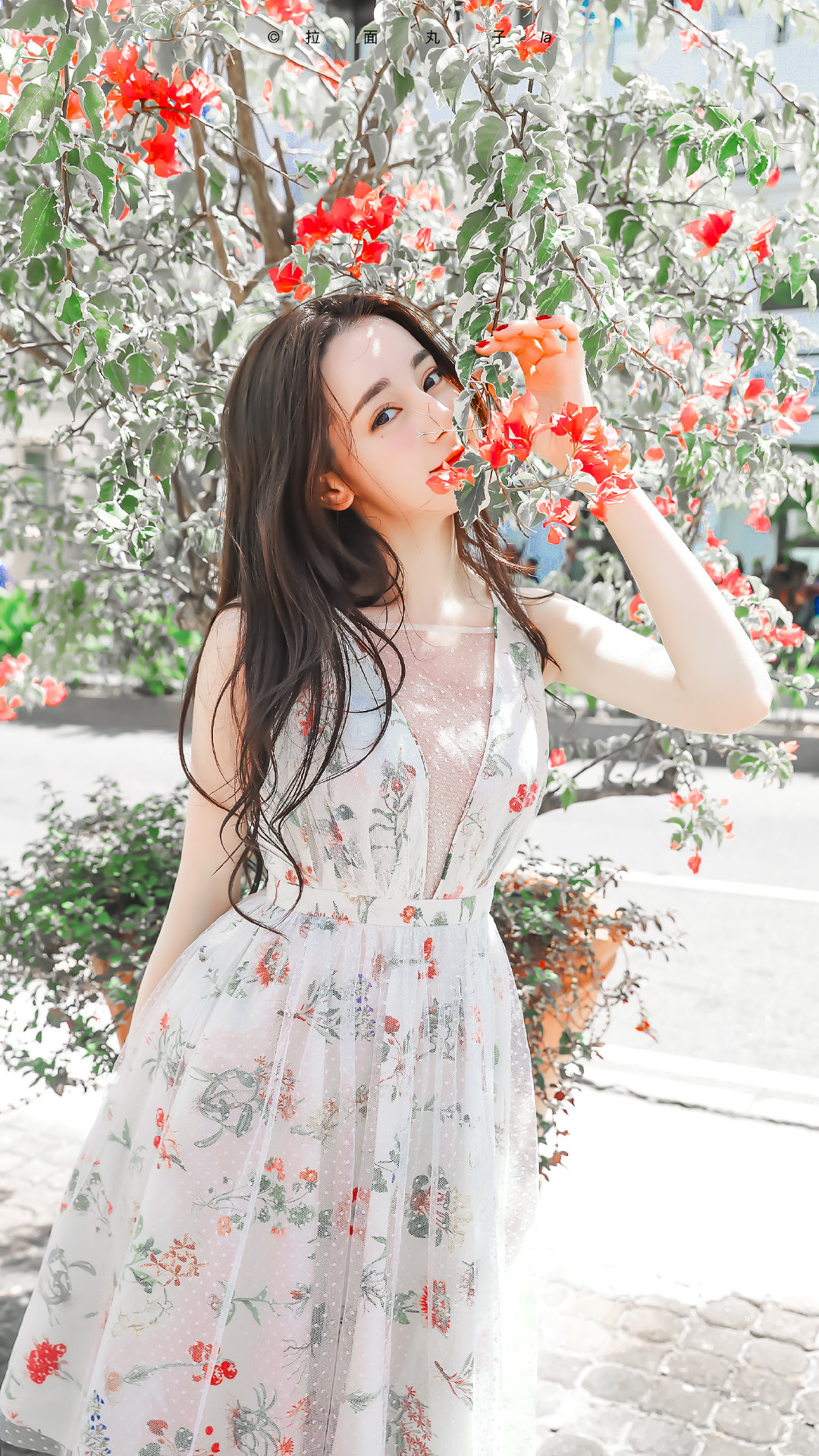 迪丽热巴壁纸┊vb拉面丸子la