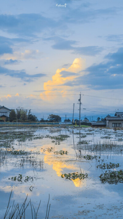 点赞 评论 人类本质是:海水,月亮和一些心碎 cr@overwater 风景