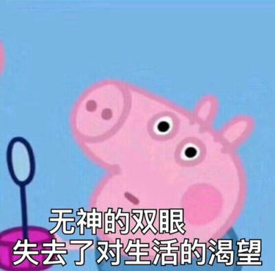 小猪佩佩表情包