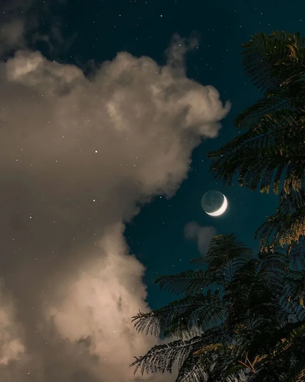 夜晚很美