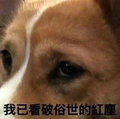 我已看破世俗的红尘