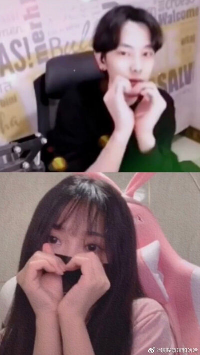 陈死狗