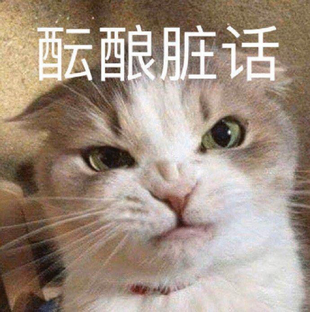 猫猫表情包 酝酿脏话