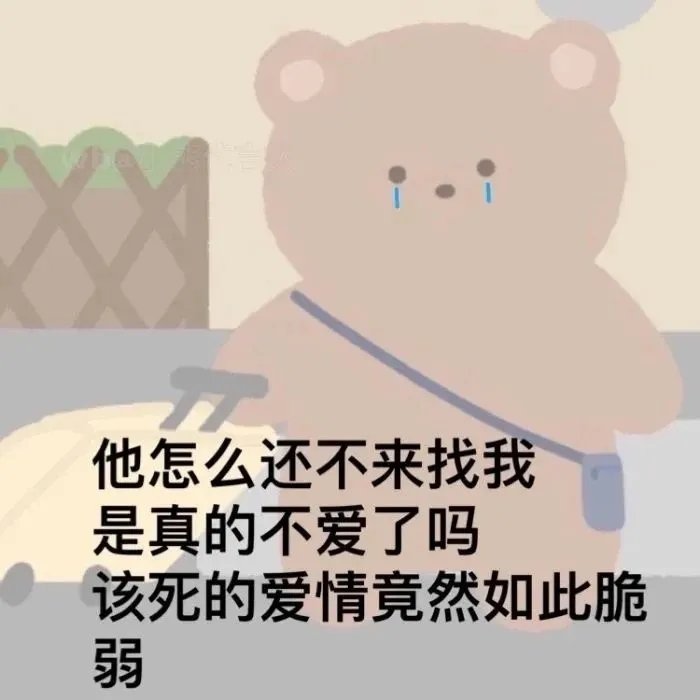 小熊表情包