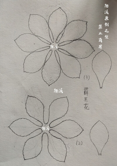 热缩图纸桃花