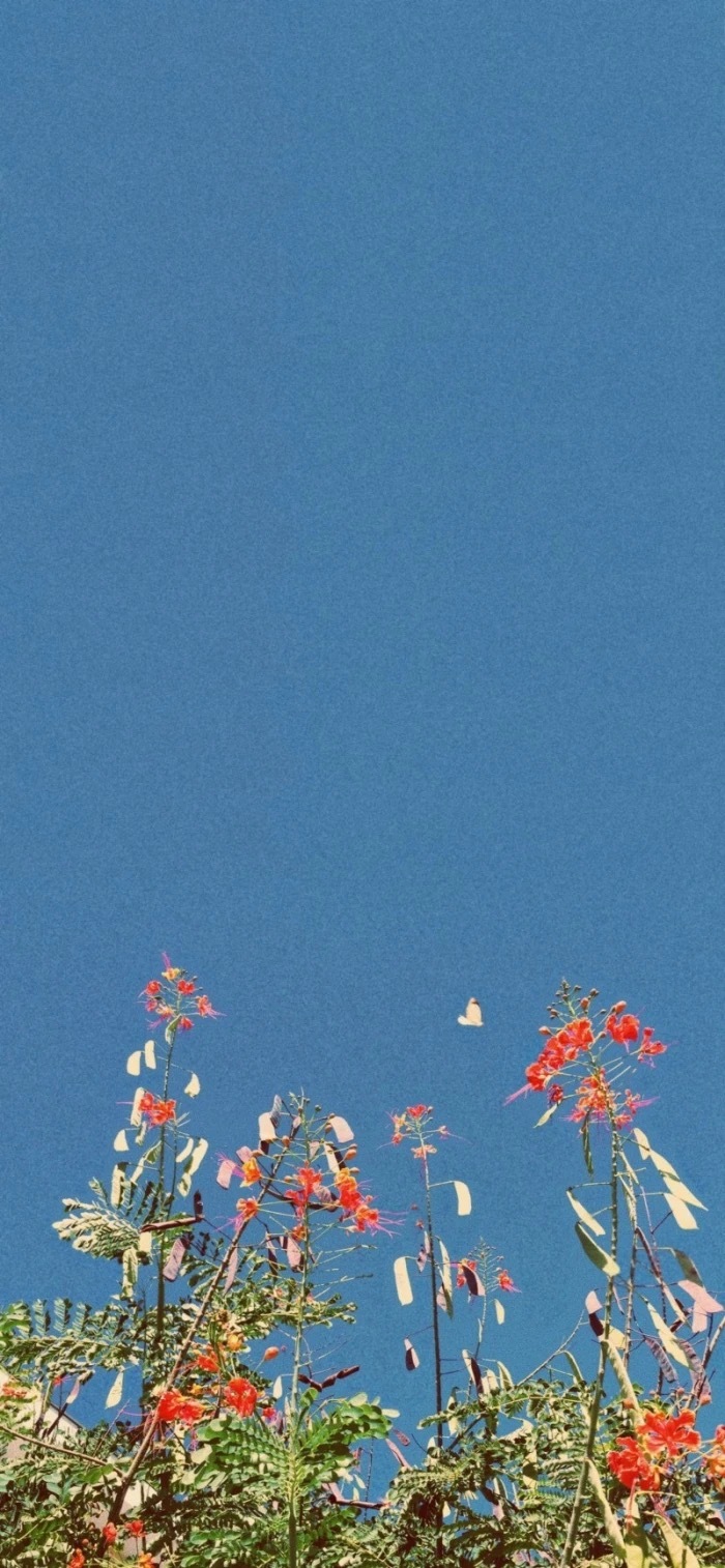 壁纸 清新 蓝