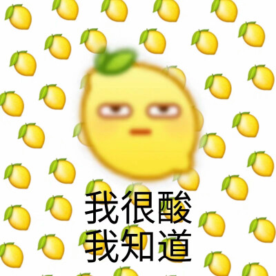 最新小黄豆表情包