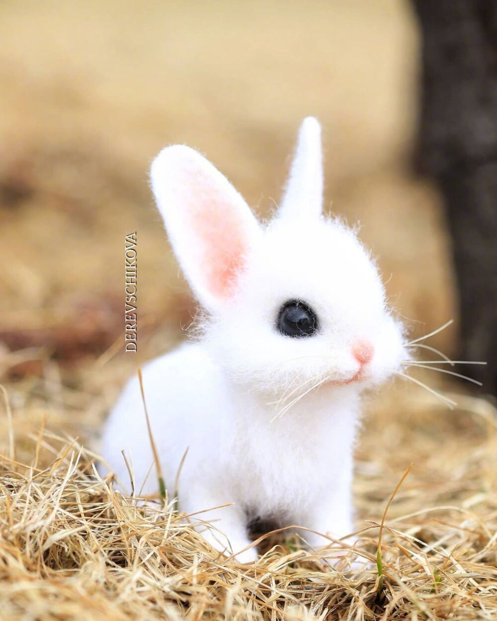 小兔子,白又白,两只耳朵竖起来.