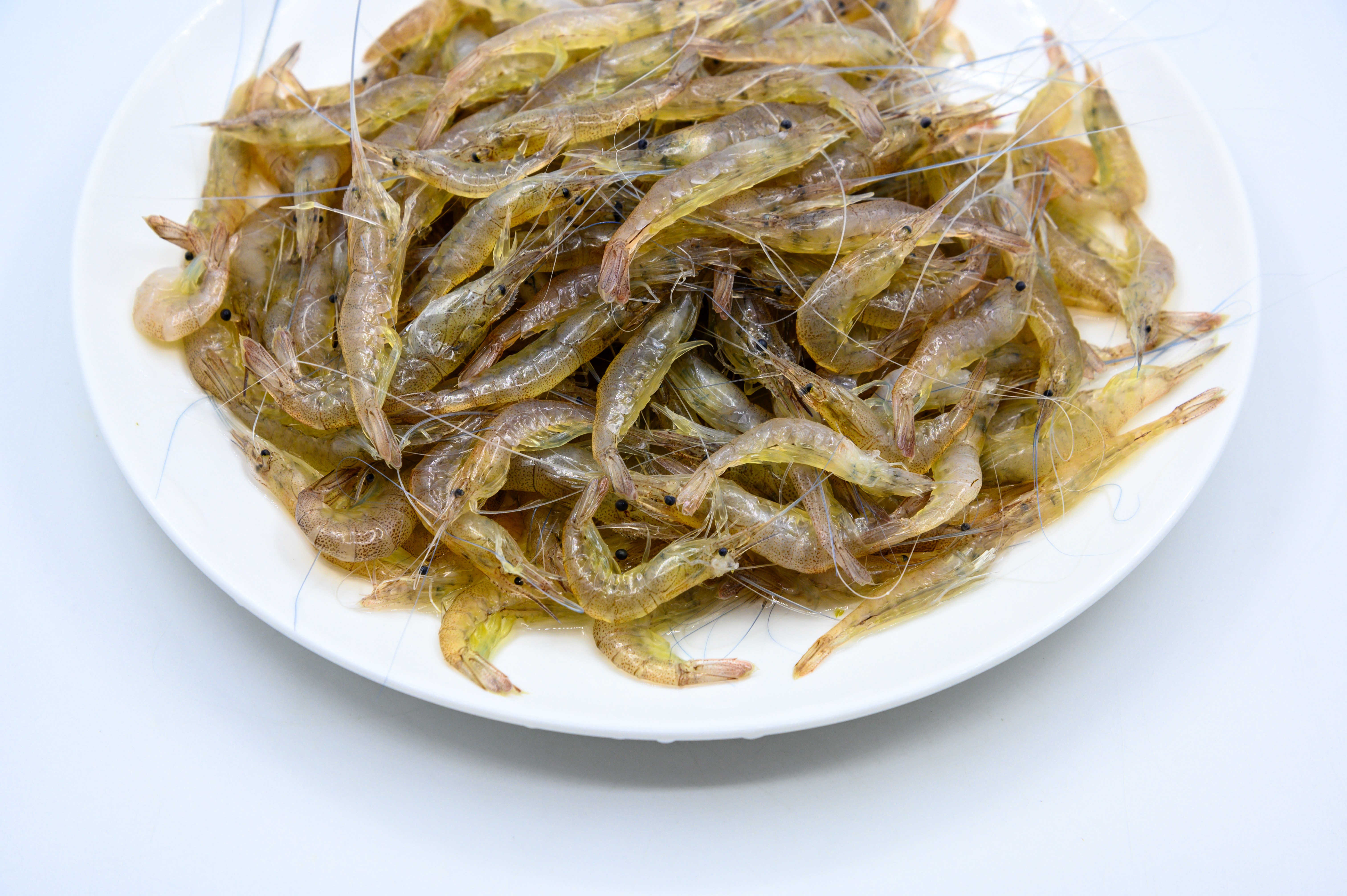 虾 河虾 小河虾 河鲜 小虾米 水产品 生的 新鲜的 待加工的 待烹饪的