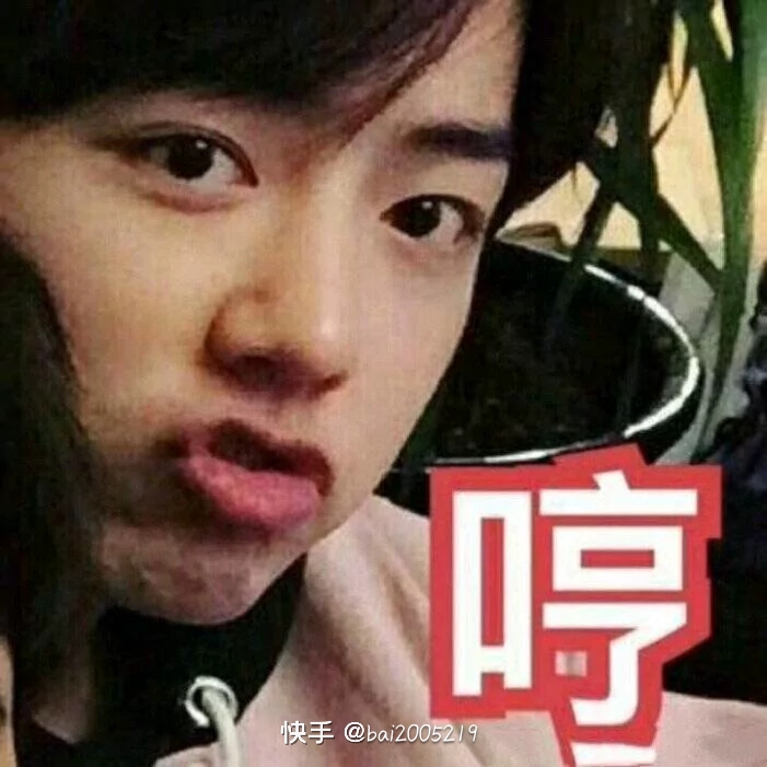 肖战表情包