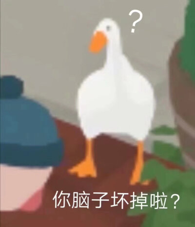 大鹅