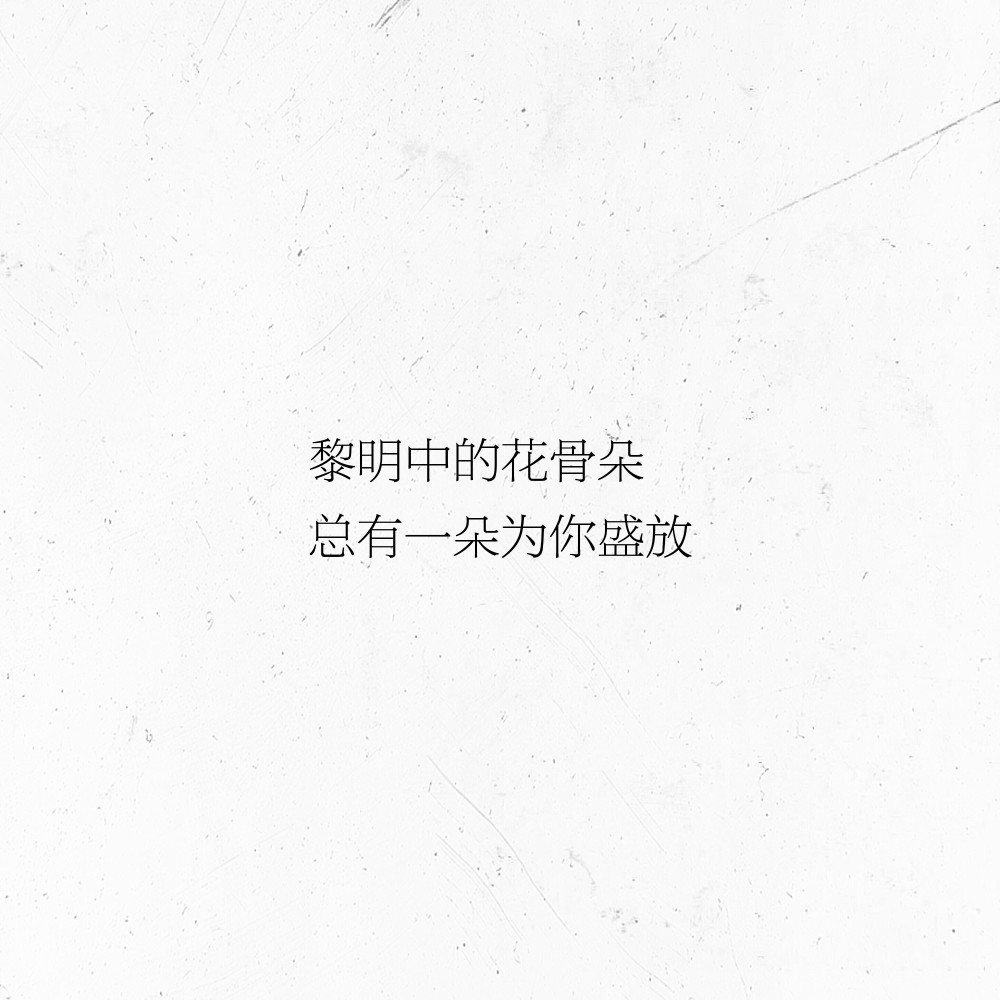 文字/句子/摘抄/文案/背景/朋友圈/情话/壁纸/备忘录/温柔/自制/文 