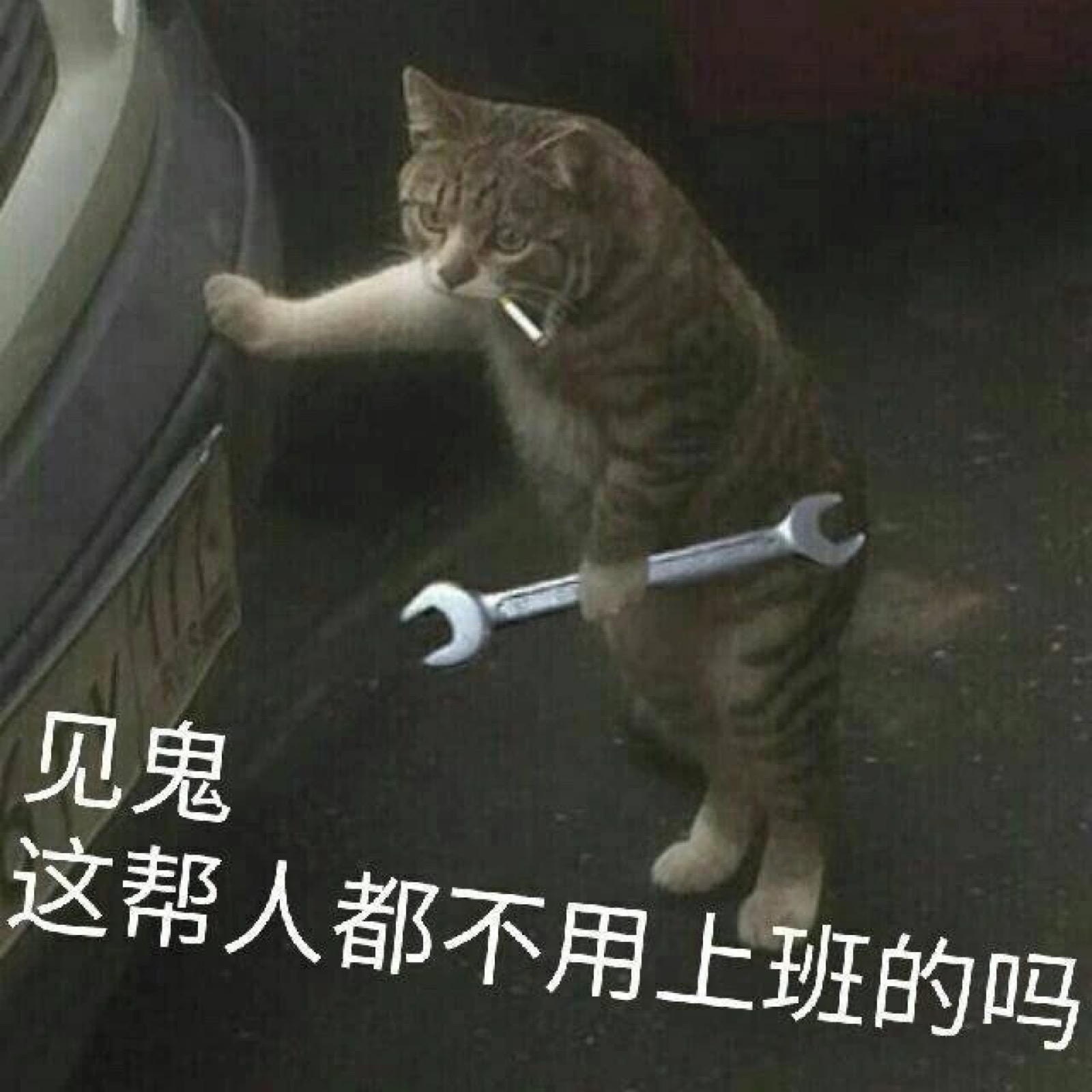 meme和memes是什么意思？ - 知乎