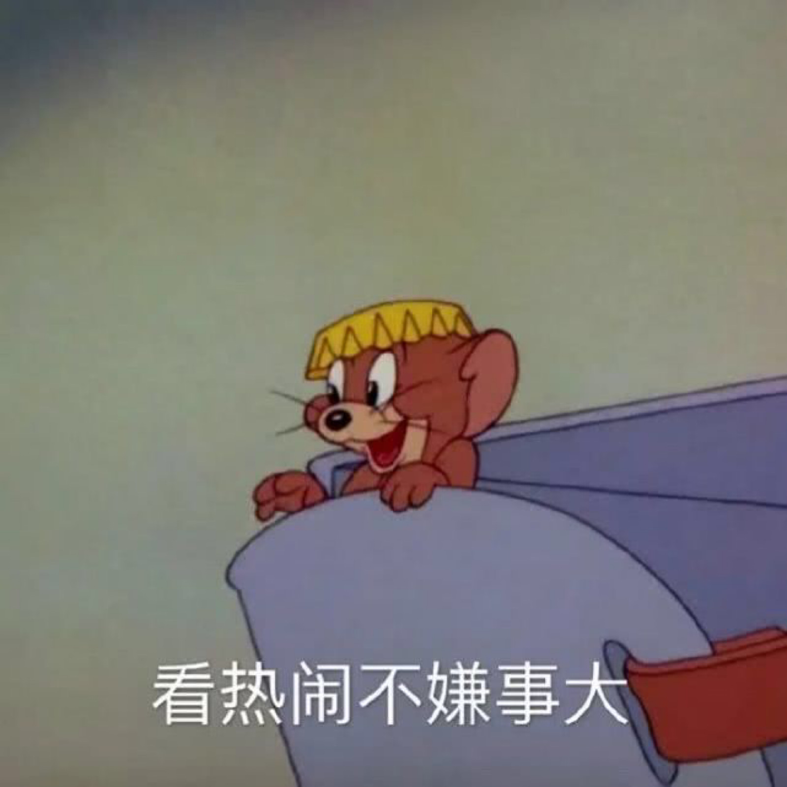 有哪些抓老鼠的绝招？ - 知乎