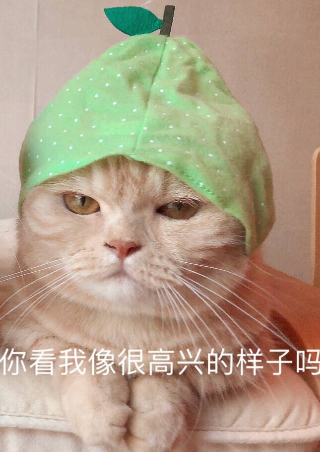 不爽喵 