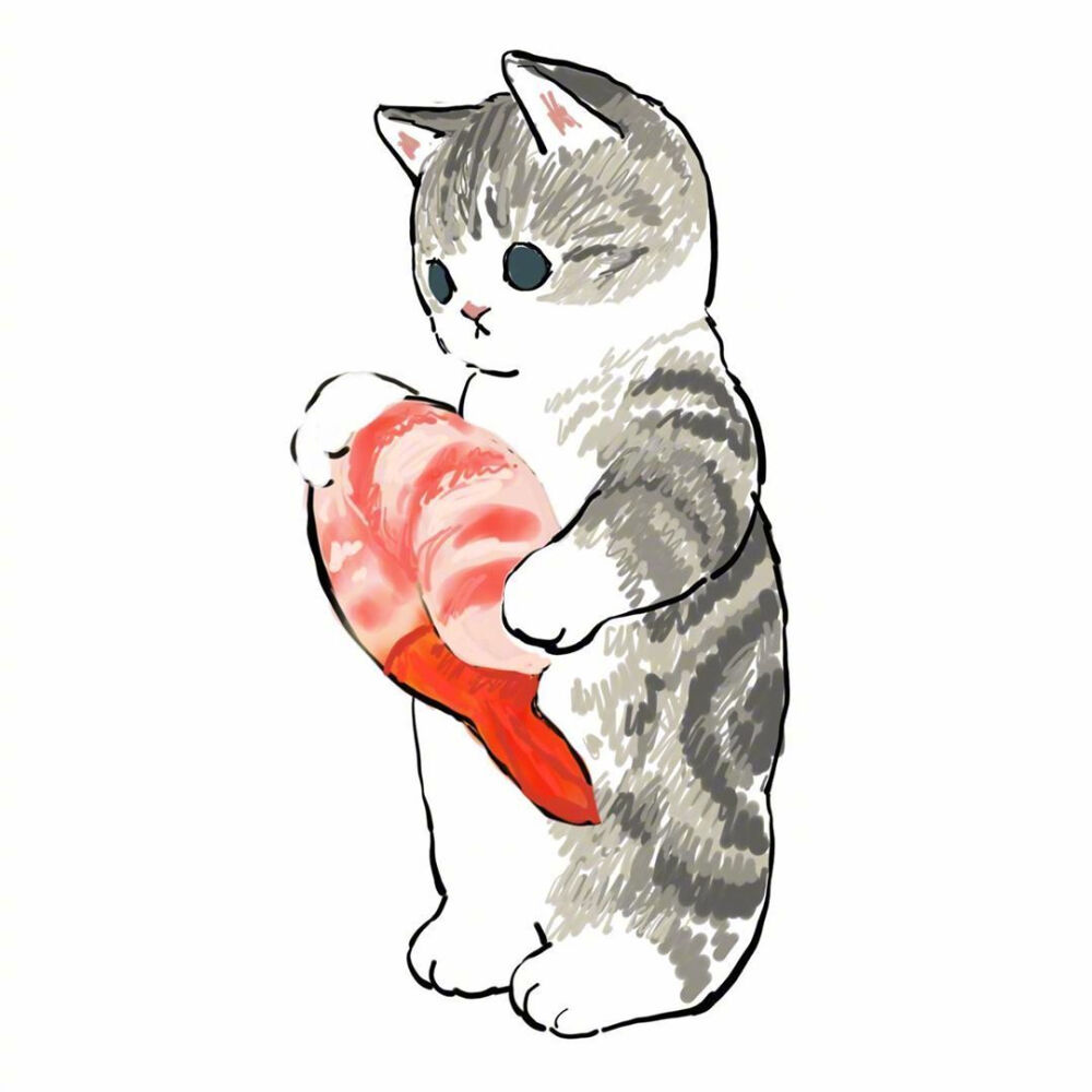 猫咪插画