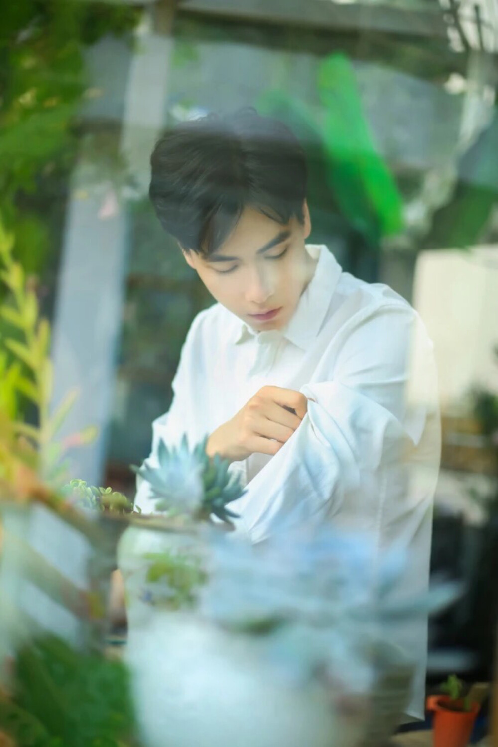 胡一天 - 堆糖,美图壁纸兴趣社区