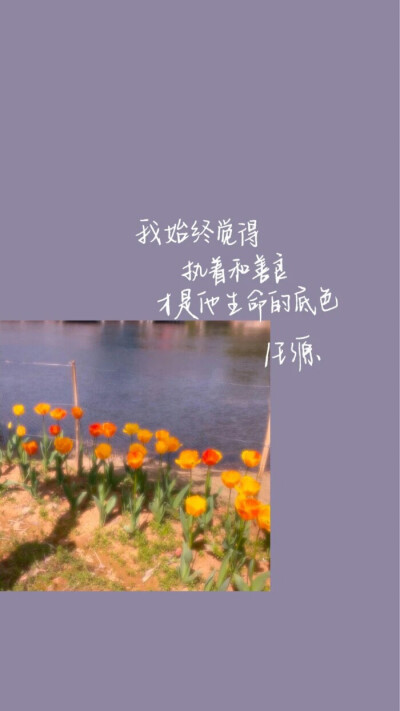 原来是文文噢学习壁纸/励志壁纸/手写壁纸/文字壁纸/插画壁纸/手绘