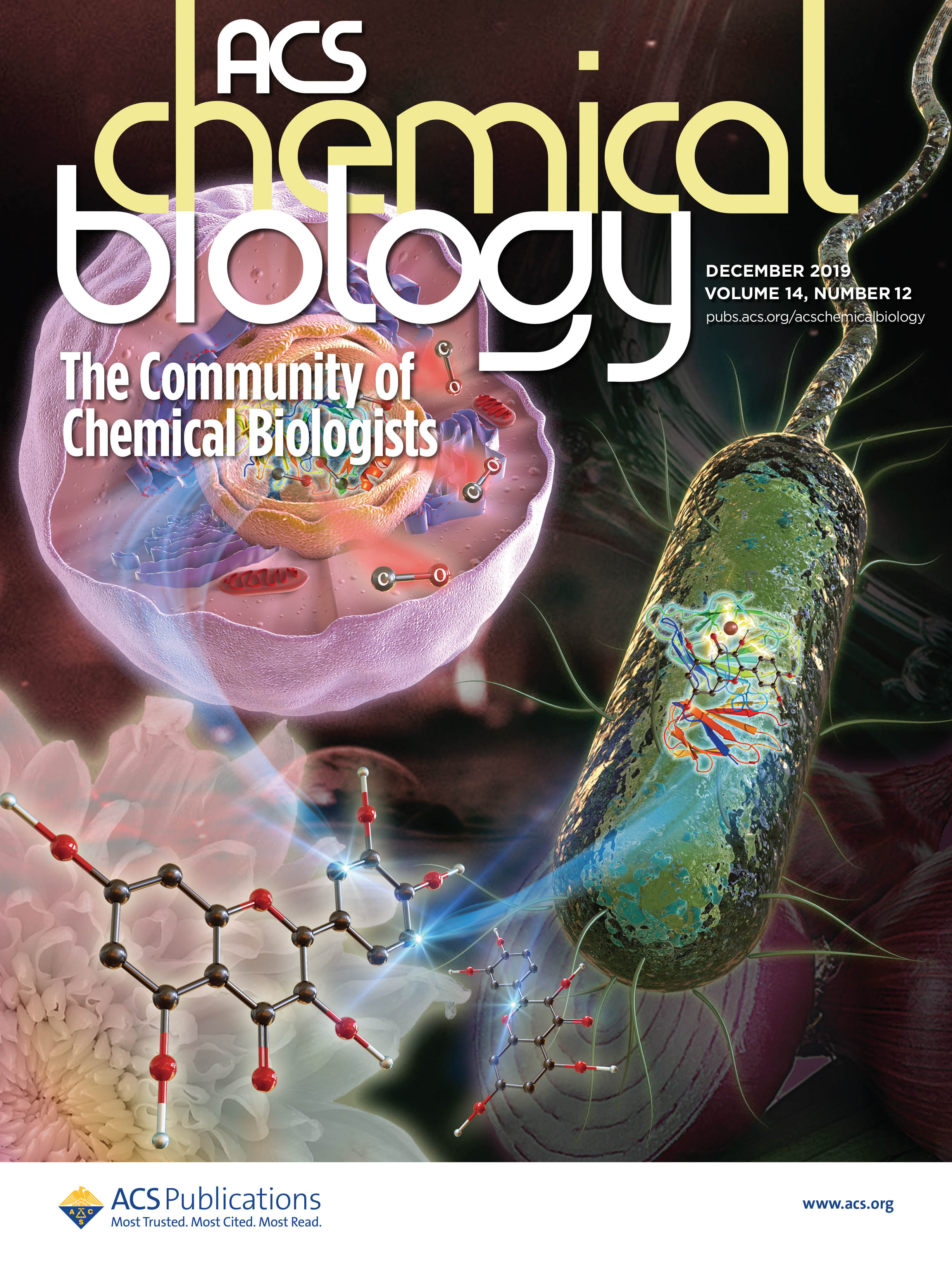 acs chemical biology 湖南师范大学科研论文配图,科研绘图公司,学术