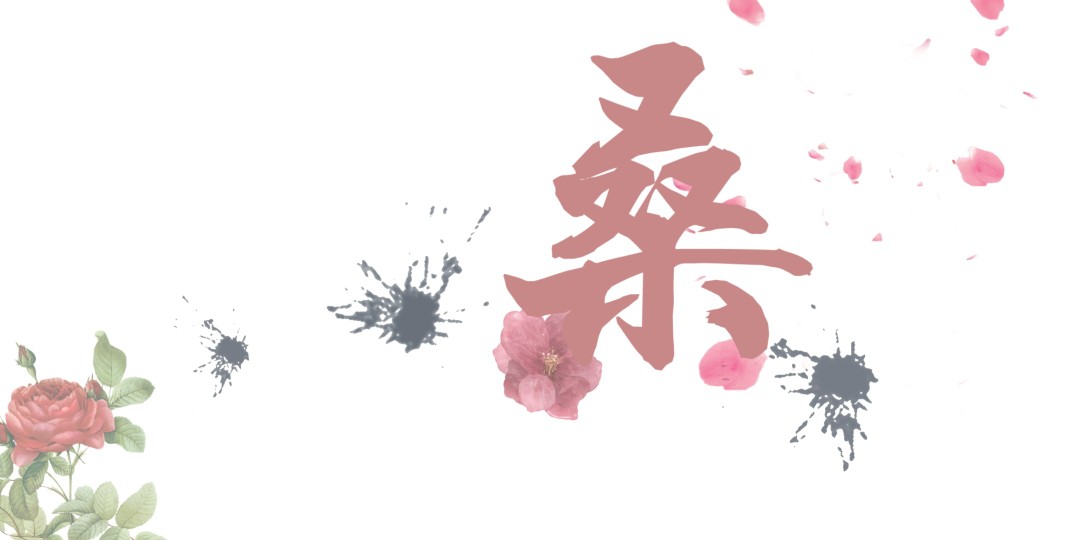 姓氏,文字,背景,简约,自制,可约