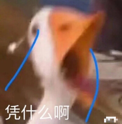 沙雕图片gif jennie 蜡笔小新