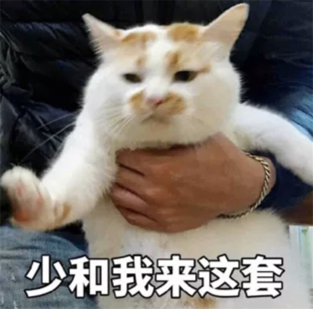 猫猫表情包 少和我来这套