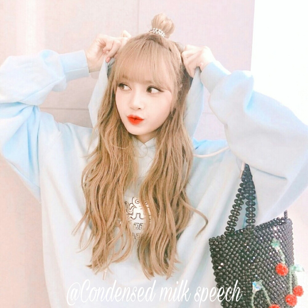 lisa 简介.