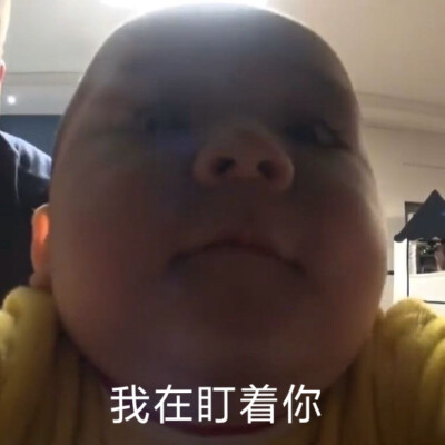 表情包fafa声
