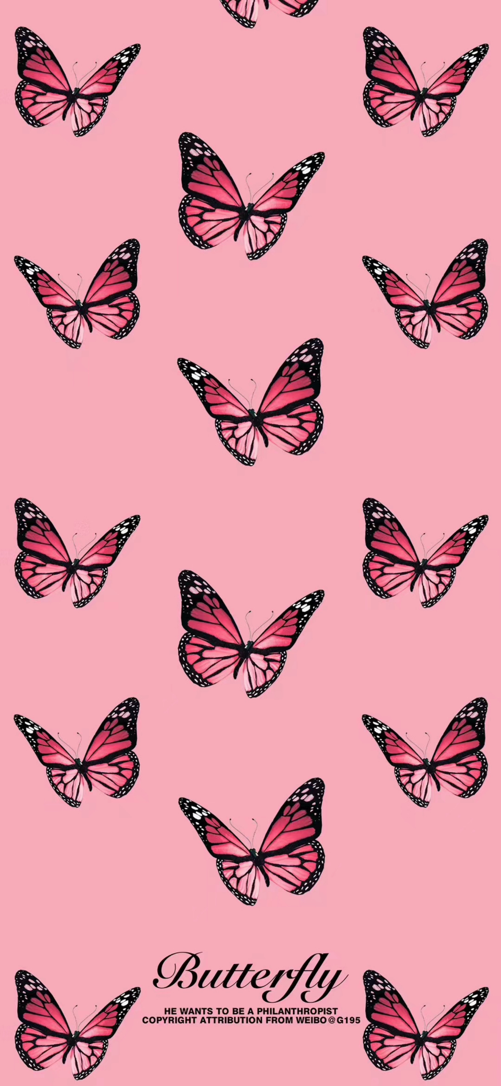 蝴蝶壁纸 - 高清图片，堆糖，美图壁纸兴趣社区