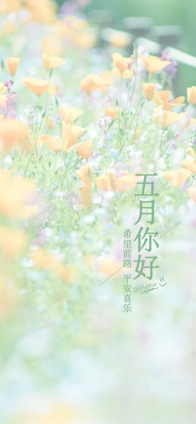 五月你好 希望前路 平安喜乐[ 喜欢我的原创文字壁纸可以关注我新浪