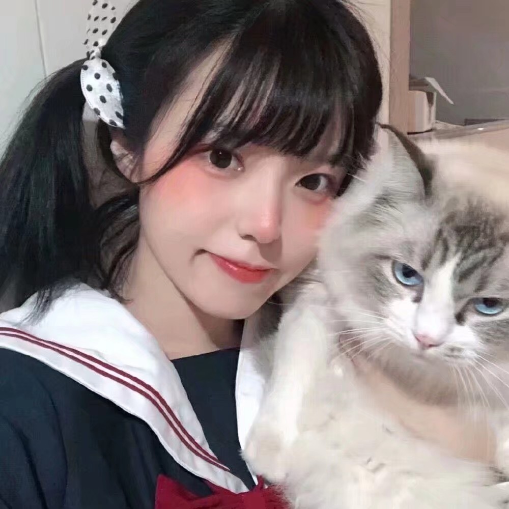 小猫 女生头像