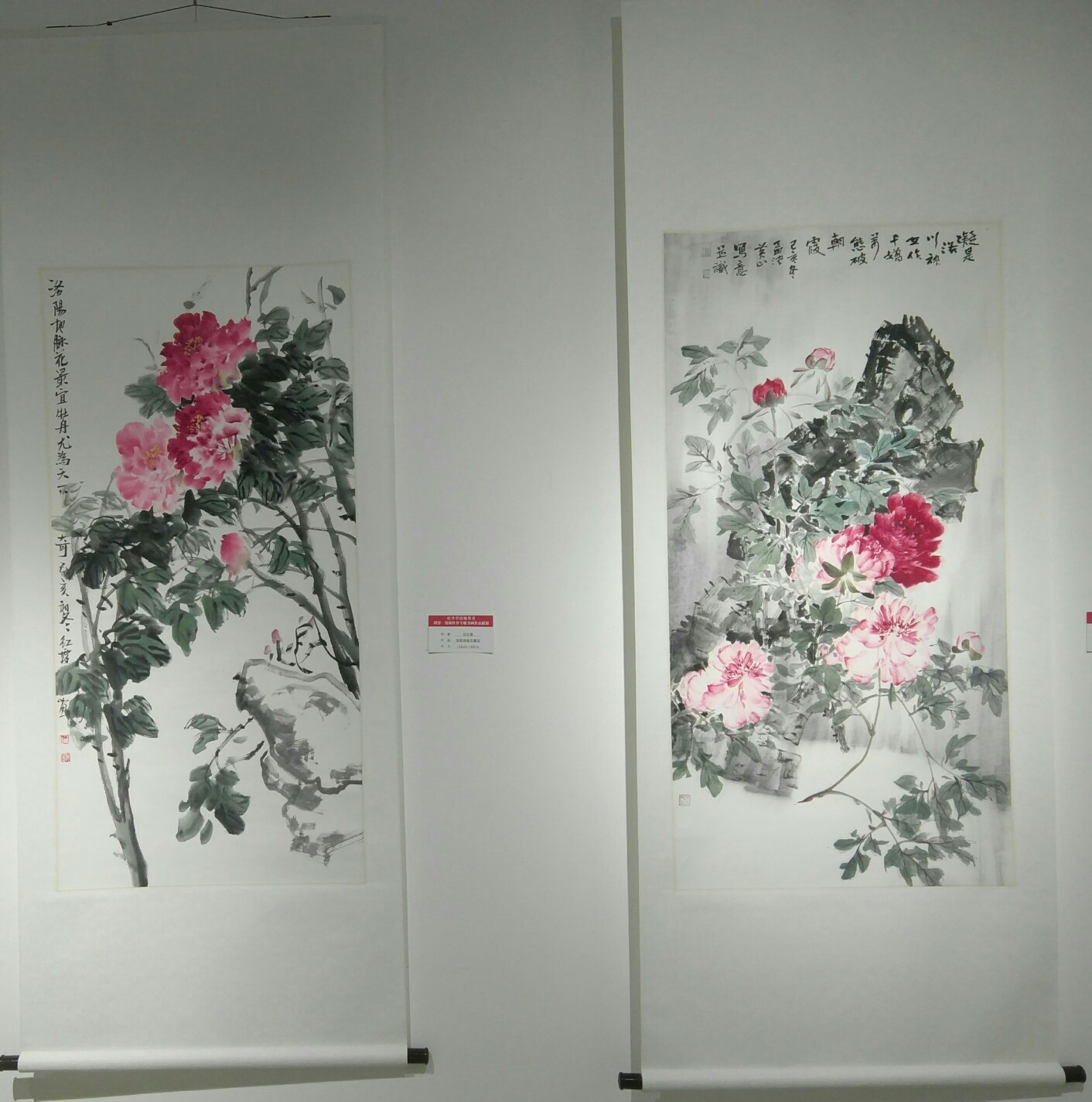 牡丹牵情翰墨香—洛阳·菏泽牡丹书画联展