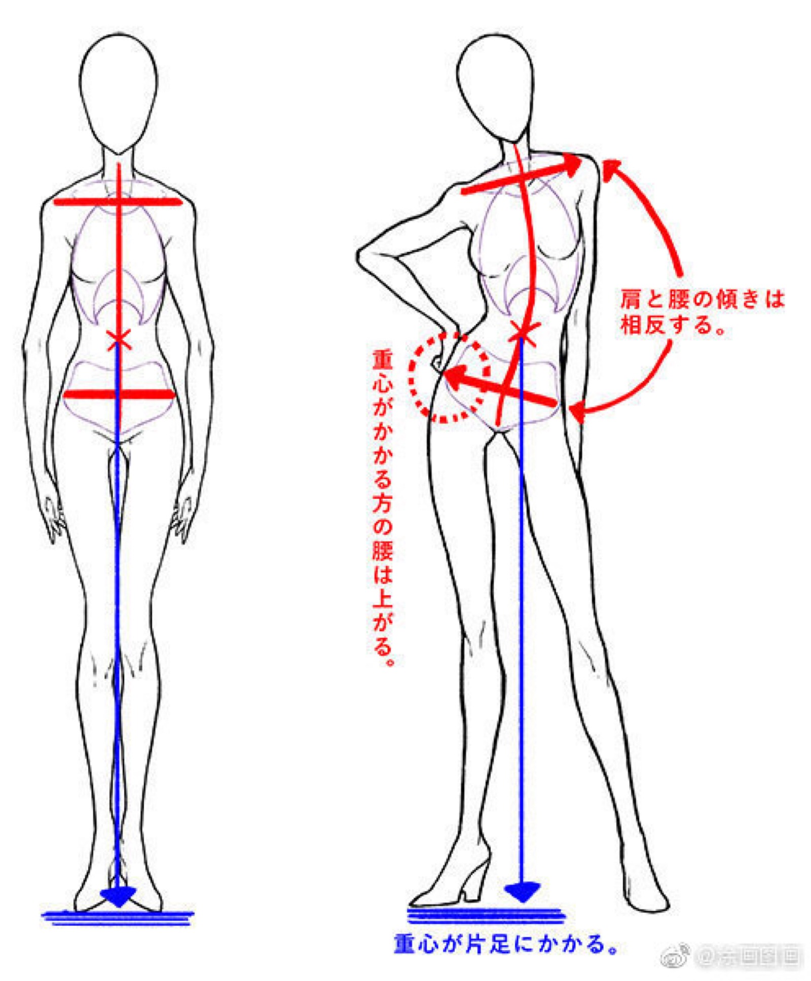 插画学徒的堆糖个人主页