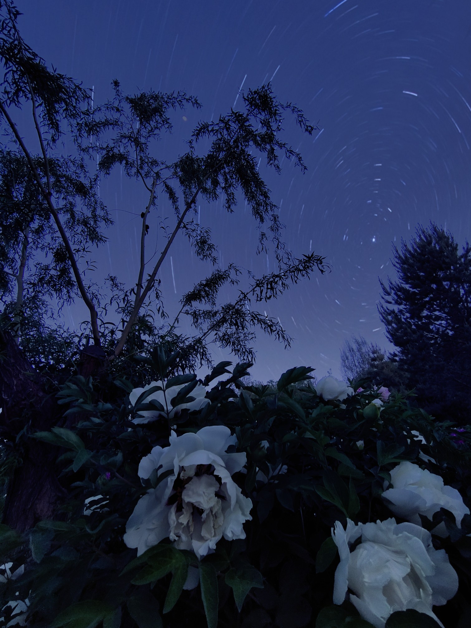 夜未央星河独流淌,晚安.