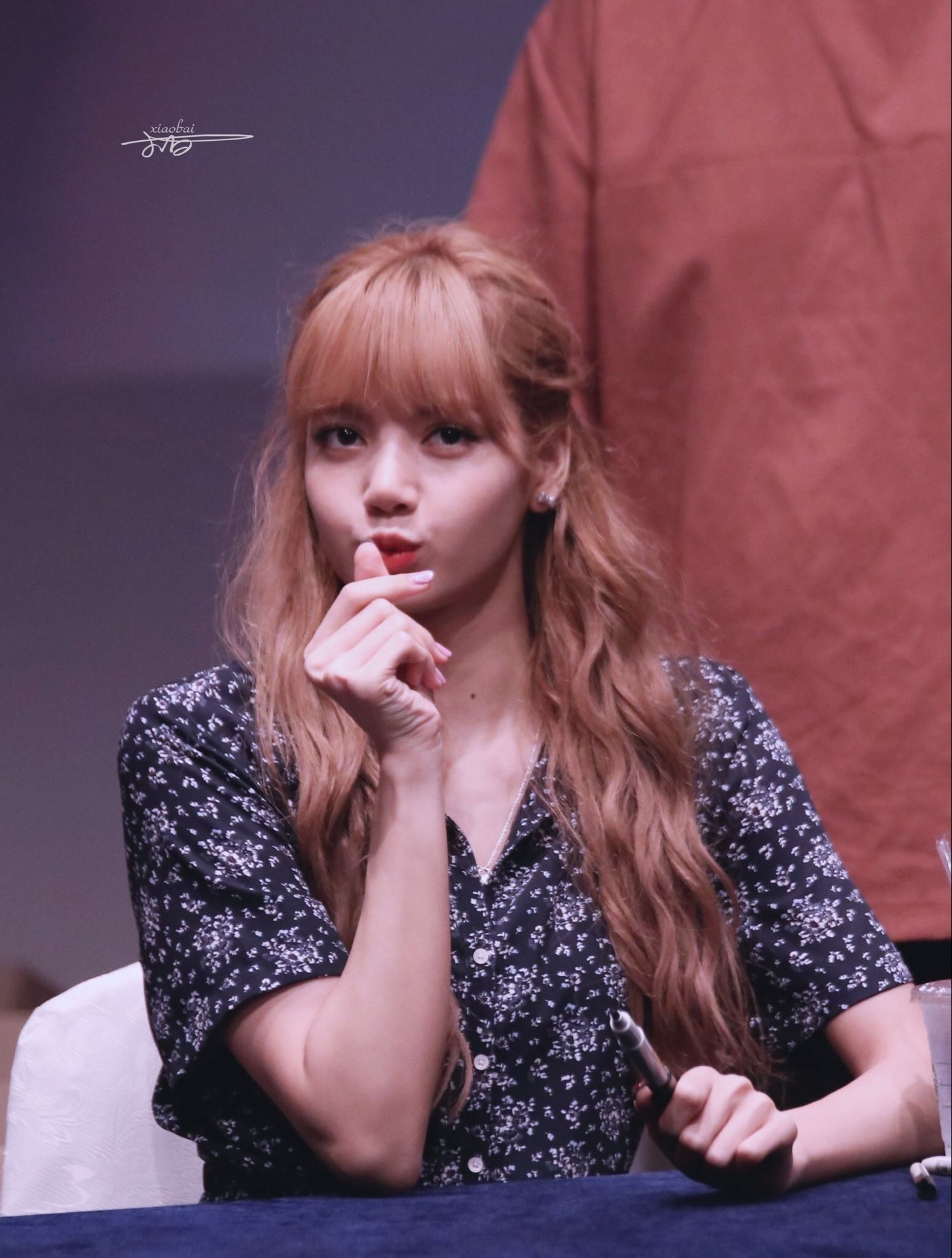 lisa 