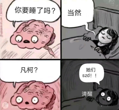 又磕到了