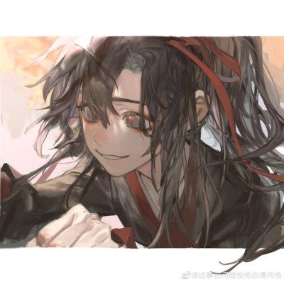 《魔道祖师》魏无羡&蓝忘机,忘羡.