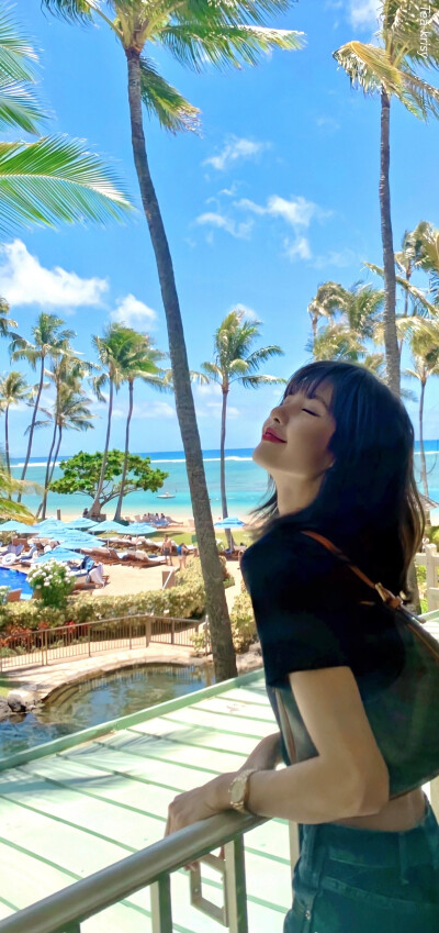 lisa 壁纸 全屏