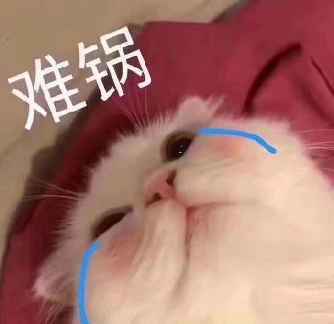 可爱沙雕猫猫表情包