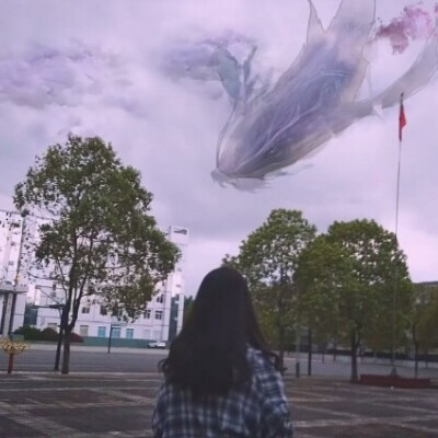女生头像│北冥有鱼的 其名为鲲.