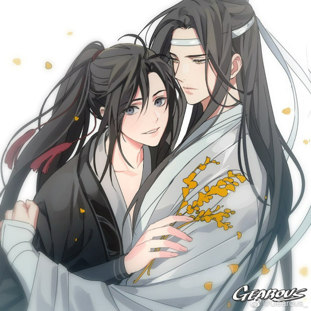 魔道祖师魏无羡蓝忘机忘羡