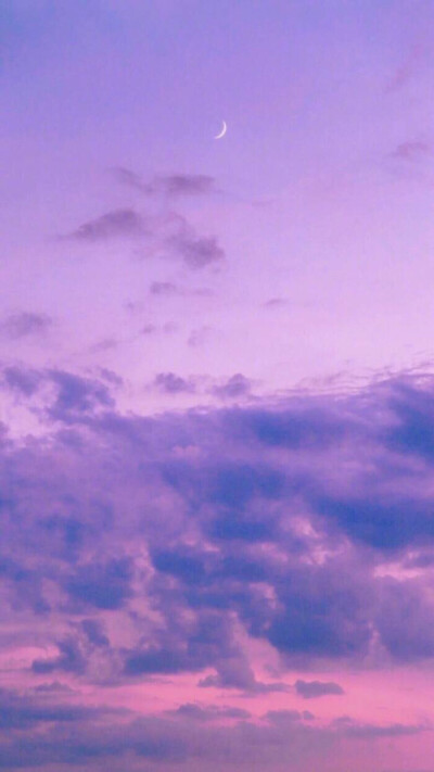 紫色梦幻壁纸