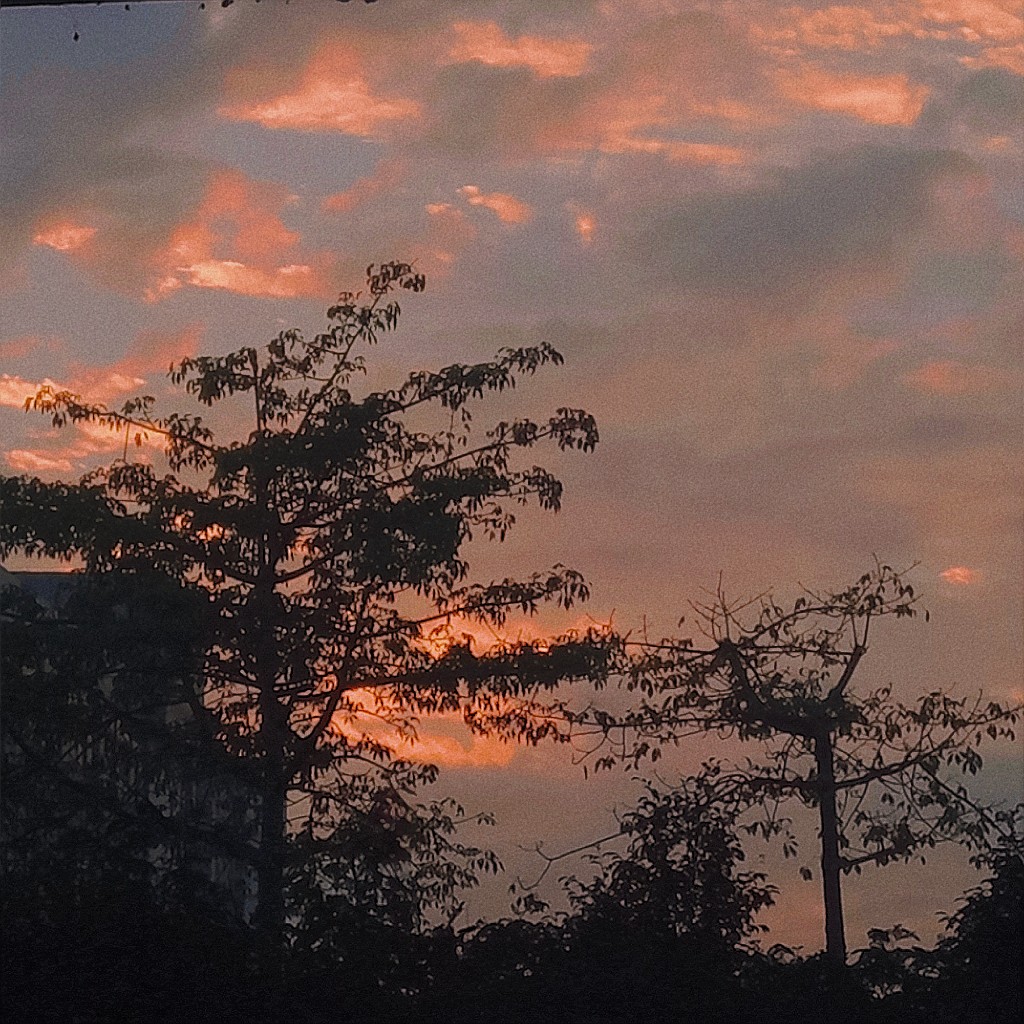夏天|落日|夕阳|天空|橙色|壁纸|背景|图片|杂