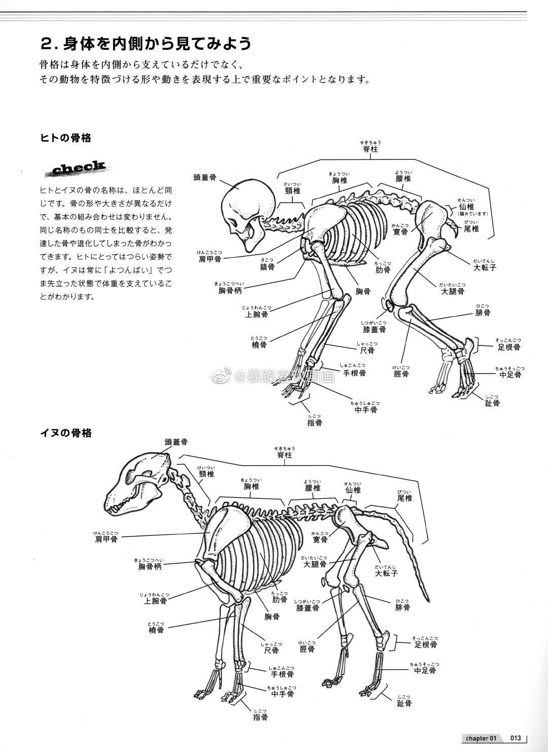 青坚的堆糖个人主页