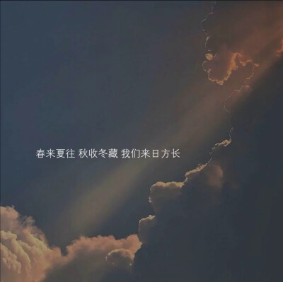 世间仅有的温柔文案