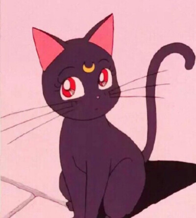 美战露娜猫头像