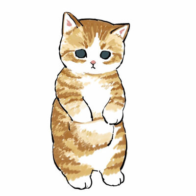 猫咪物语,可爱,手绘插画