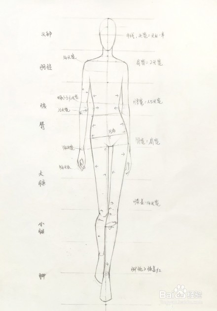 人体模特手绘